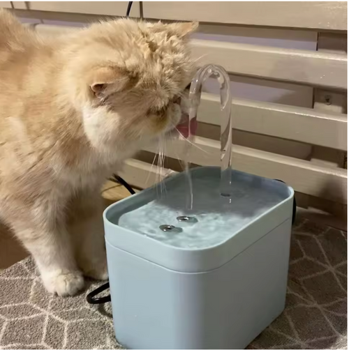 Cat Water Fountain