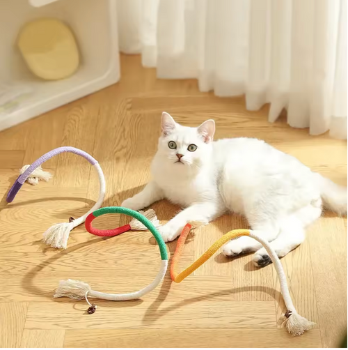 Cat Toys Interactive Molar Cotton Rope